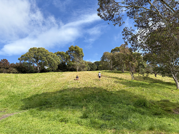 People on a grassy slope surrounded by trees at Dolbel Reserve