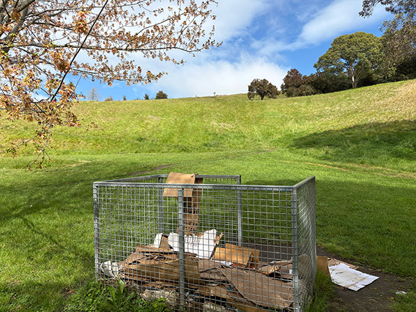 Wire cage containing cardboard at the foot of the grassy hill at Dolbel Reserve