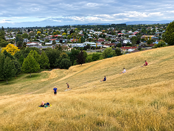 People cardboard sliding down a dry grassy hill with Taradale homes in the distance
